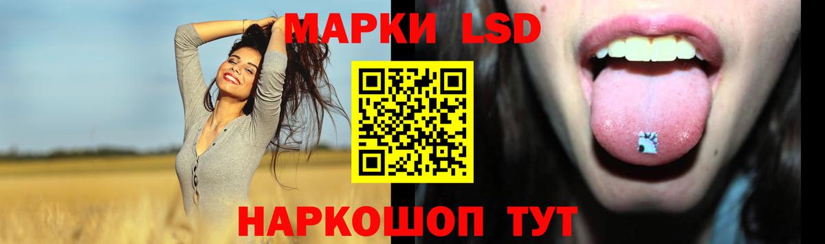 ЛСД экстази кислота  LSD-25 экстази кислота  Лсд 25 экстази  Ногинск  Вход с VPN 